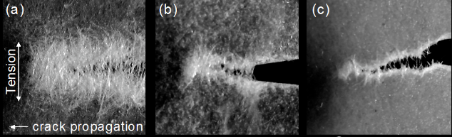 as the fiber length increases (from right to left), the breaking process zone (the area where energy is consumed) becomes larger and the energy is higher.