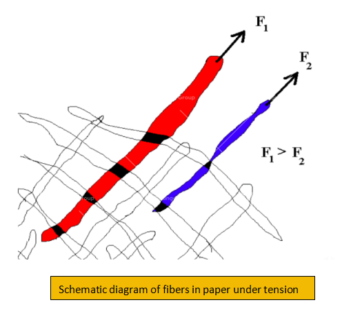 schematic diagram of fibers in paper under tension