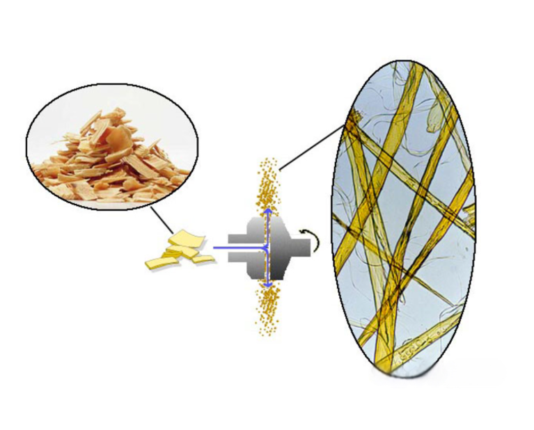 schematic diagram of wood chips being turned into fibers after being refined by disc grinder