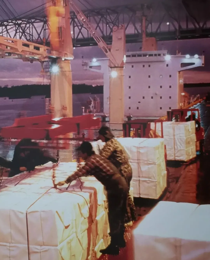 workers load pulp for export at the dock