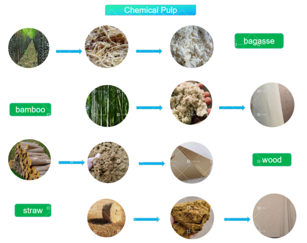 What Is Paper Pulping Younge Group Paper Industry Process 