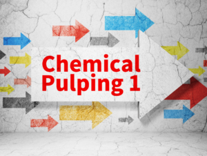 chemical pulping (1)