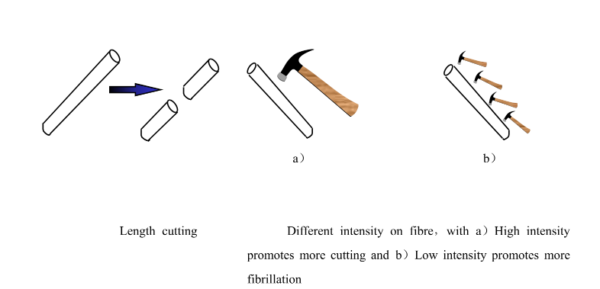 What is refining in paper pulp? - Younge Group: Paper industry process ...
