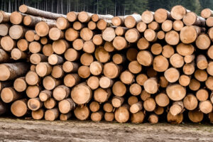 wood logs