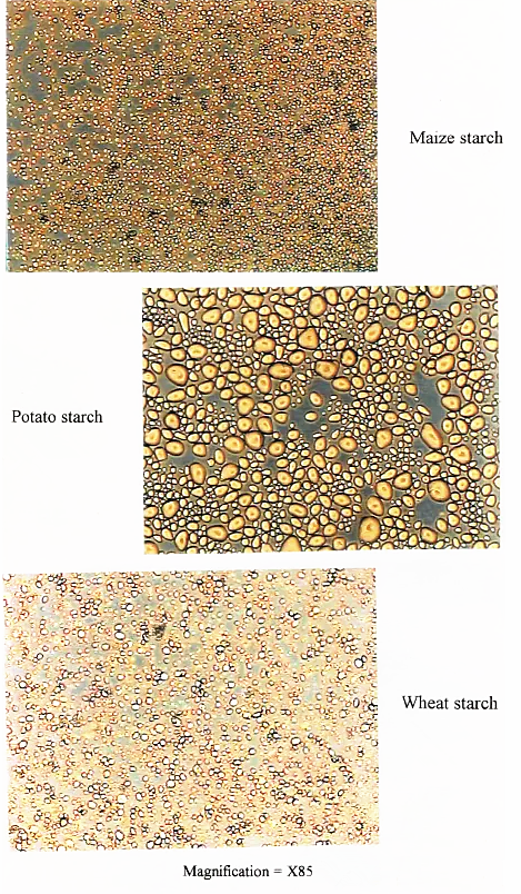 microscope images of different types of starch at x85 magnification