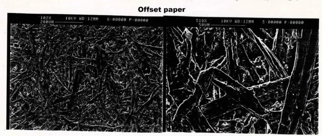 offset paper 