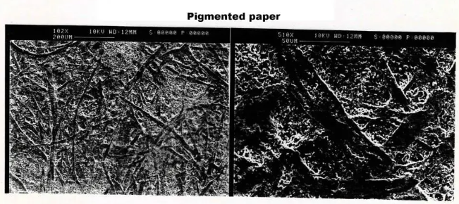 pigmented paper