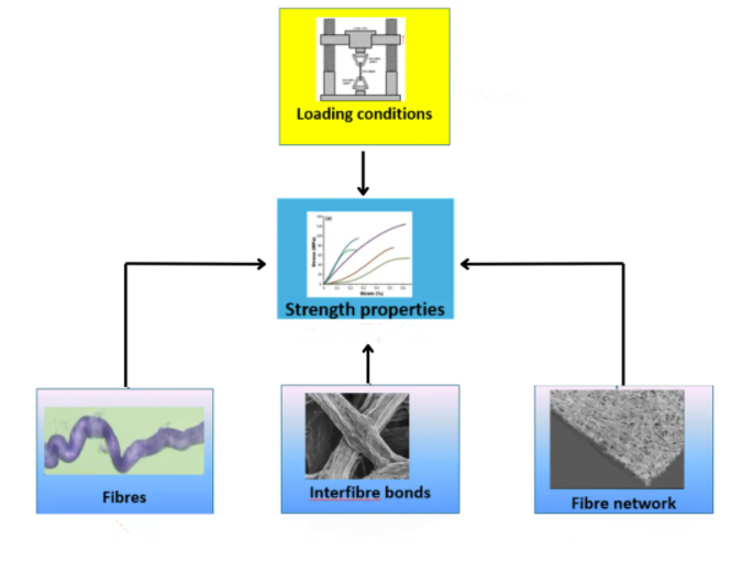 a structured approach to analyzing factors affecting paper strength properties