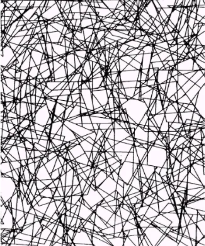 A sparse two-dimensional randomly distributed fiber network