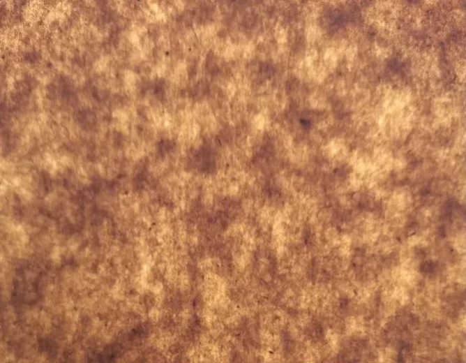 Perspective image of unbleached kraft paper, showing the uneven distribution of the material.