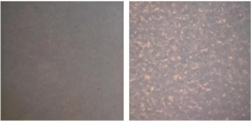 paper showing with shaking device