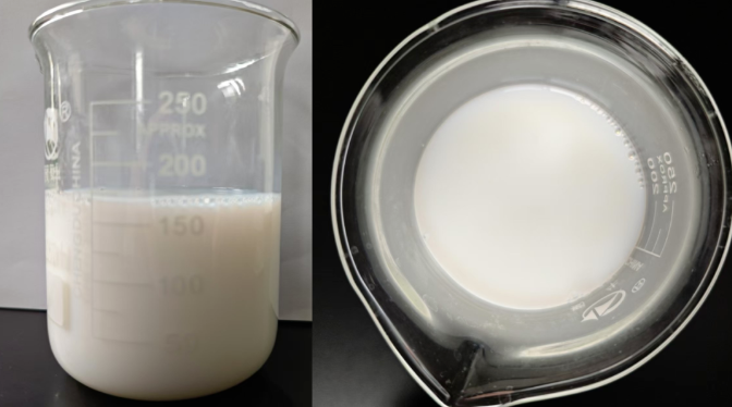 Dryer screen cleaner appearance