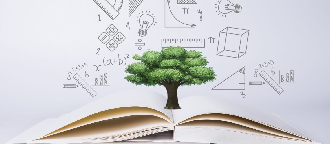 paper mill knowledge